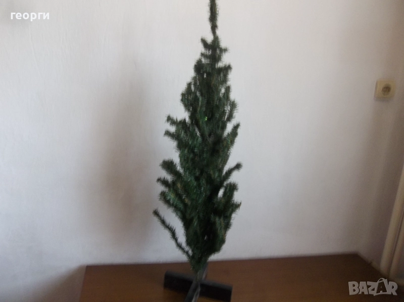 Елха, снимка 1