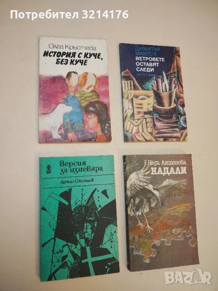 Версия за изневяра - Димил Стоилов, снимка 1