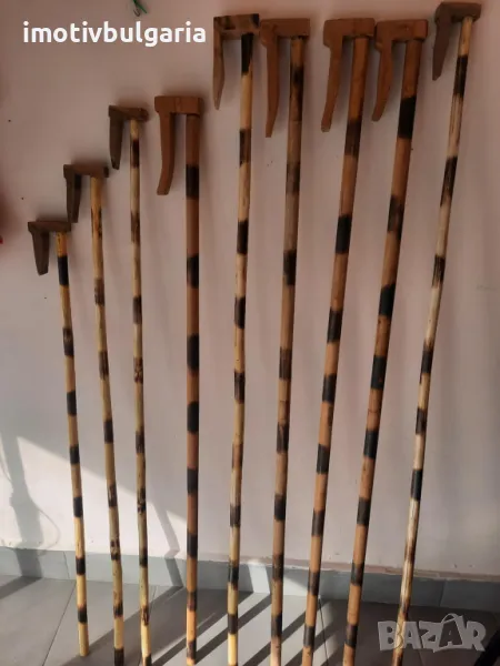 Коледарска гега, снимка 1