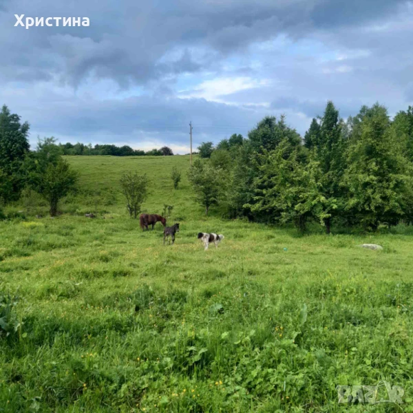 Парцел в регулация , снимка 1