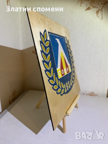 Лого на Левски София – Гравирано и ръчно оцветено, снимка 2 - Фен артикули - 50767641