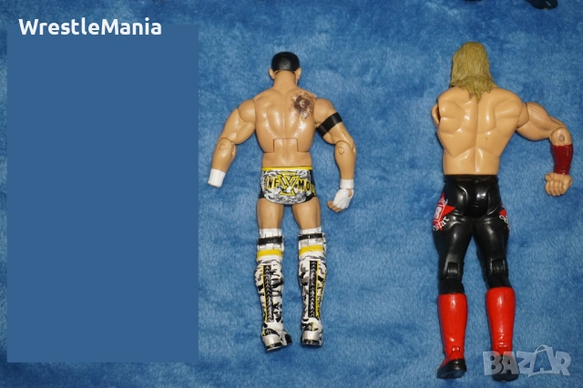 20 Кеч Фигури със забележки Bobby Fish Elite/Undertaker/Lana/The Miz/CM Punk/Matt Hardy/Edge/Randy, снимка 17 - Колекции - 51856287
