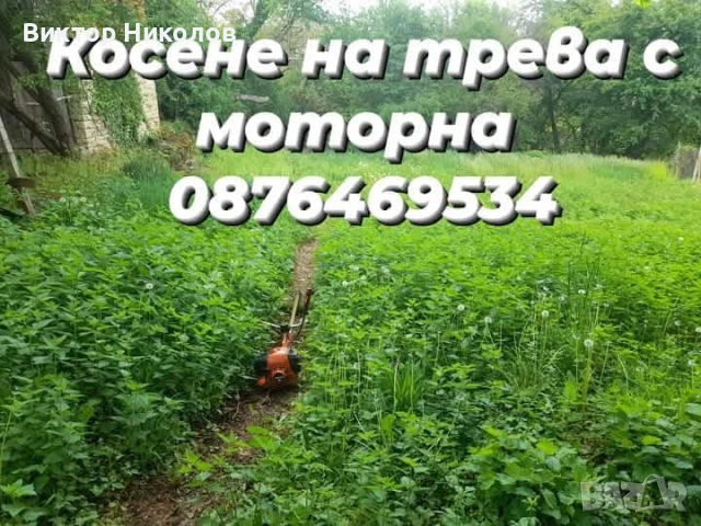 почистване на мазета, тавани, дворове , снимка 8 - Почистване на домове - 54259309