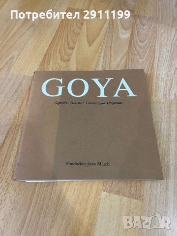 Книга за Гоя (Испански език)