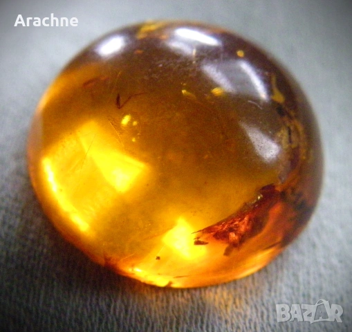 Кехлибар-кабошон с 4 комара и 1 крило, снимка 2 - Други - 48628017