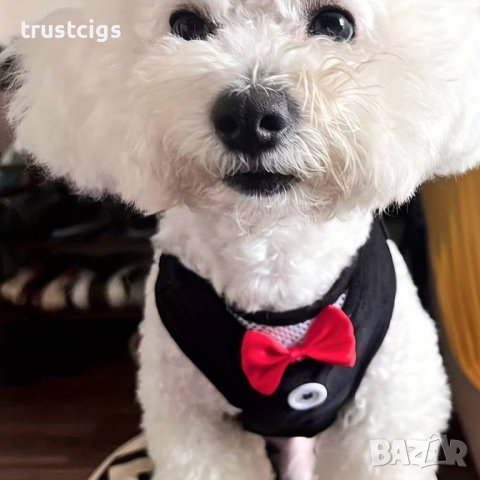 Нагръдник с каишка за домашен любимец S, снимка 3 - За кучета - 44483722