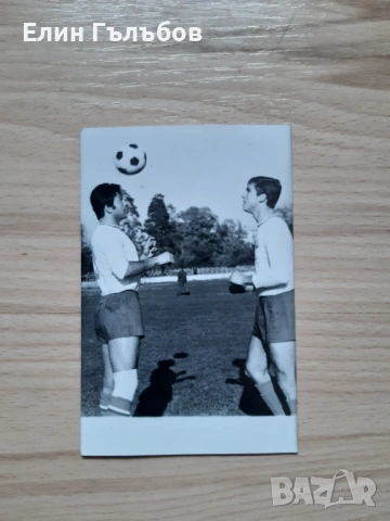 Снимки на футболисти на Ф.Д. Левски на хартиен носител, снимка 5 - Колекции - 53140518