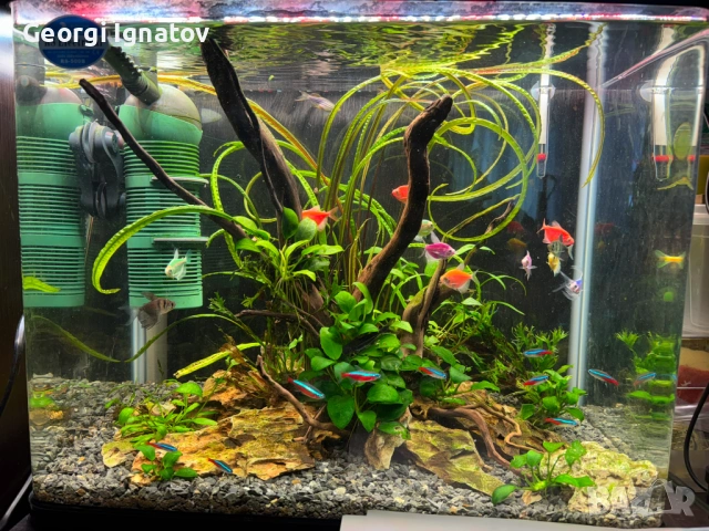 Пълен спектър LED фито лампа 2х56,5 см аквариум и разсад, снимка 10 - Лед осветление - 53138936