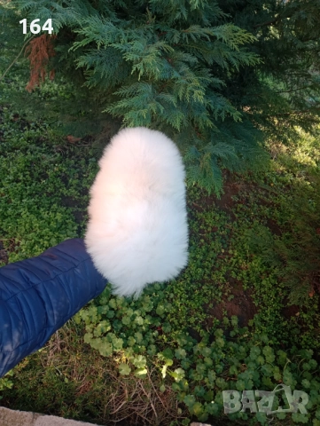 Померан. Реални снимки от 26.12.25 год. 