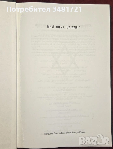 Какво иска един евреин? / What Does a Jew Want? On Binationalism and Other Specters, снимка 2 - Художествена литература - 54167921
