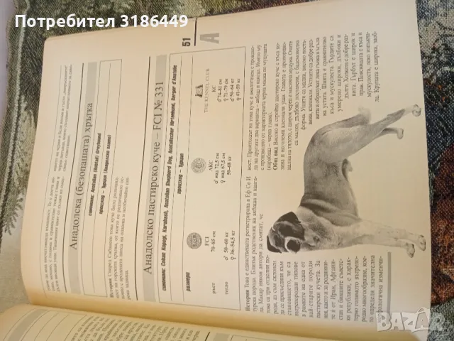 Световна енциклопедия на кучетата, снимка 3 - Енциклопедии, справочници - 48075574