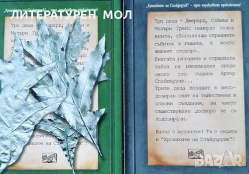 Хрониките на Спайдъруик. Книга 2-5 Тони ди Терлизи, Холи Блек, 2004г., снимка 3 - Художествена литература - 31612770