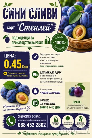 Сини сливи "Стенлей", за ракия. *ДОСТАВКА*