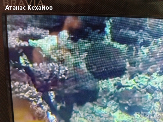 ТВ Сони, снимка 3 - Телевизори - 53887995