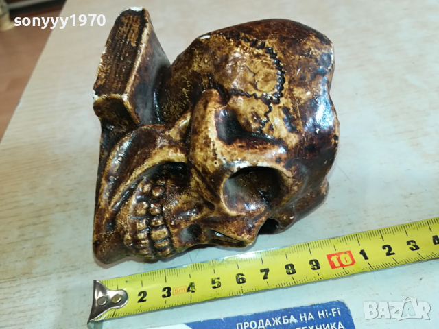 ЧЕРЕП ПЕПЕЛНИК 1503241603, снимка 3 - Антикварни и старинни предмети - 44779542