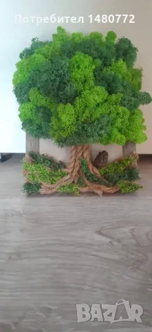 Дърво от скандинавски мъх в рамка, снимка 6 - Декорация за дома - 47986453