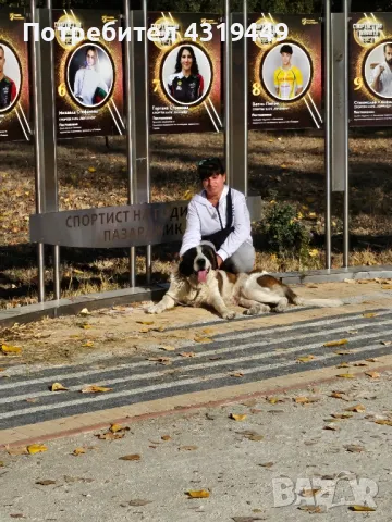 Тара си търси партньор!, снимка 2 - Търси партньор - 50033755