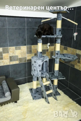 Хотел за котки Уговет , снимка 12 - Ветеринари и услуги - 49763338