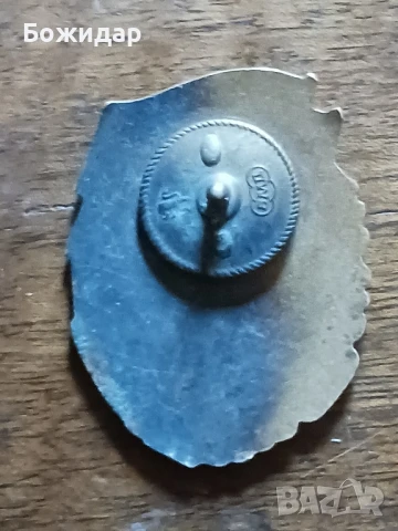 Емайлов Нагръден Знак. 70те.г., снимка 2 - Колекции - 51344360