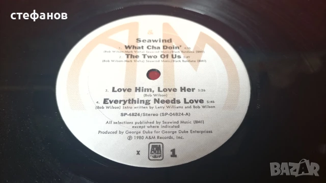 Дългосвиреща грамофонна плоча на SEAWIND, А&М , снимка 6 - Грамофонни плочи - 50733985