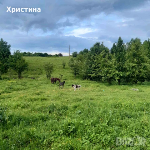 Парцел в регулация 