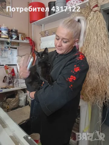 Коте коте коте коте само днес