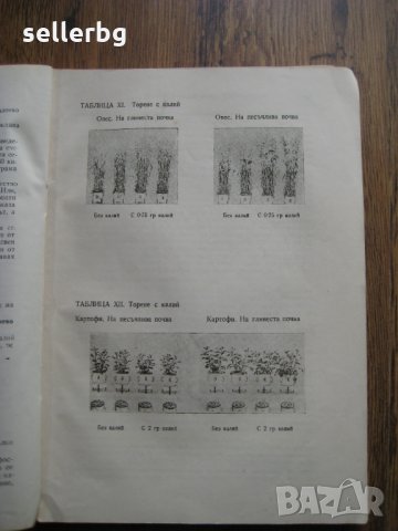 Земеделие и физиология на растенията - сборник от лекции от 1949 г., снимка 4 - Специализирана литература - 29569270