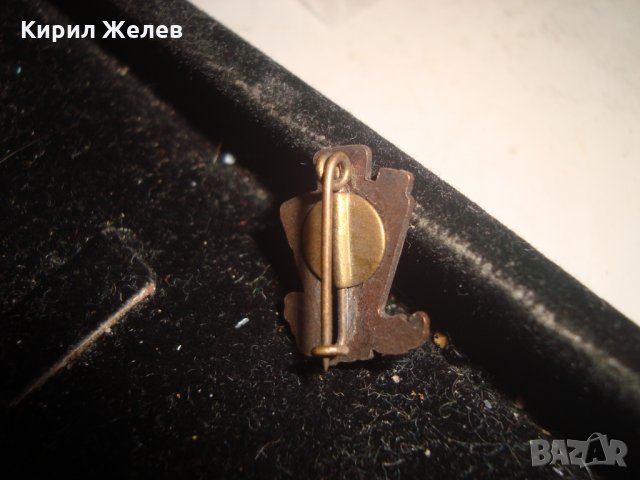 МНОГО РЯДКА ЕМАЙЛИРАНА МИНИАТЮРНА ЗНАЧКА 18176, снимка 2 - Колекции - 30967107