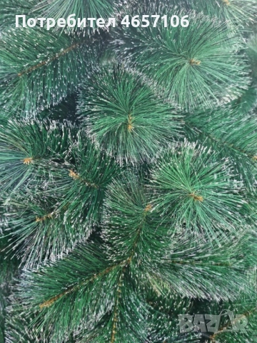 Коледна елха с бели заскрежени връхчета, снимка 7 - Декорация за дома - 52494234