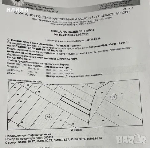 продавам широколистна гора
