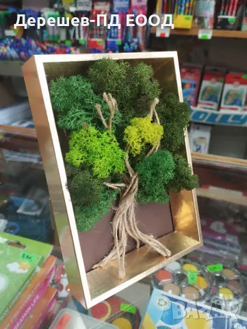 Дърво на живота от скандинавски мъх, снимка 2 - Декорация за дома - 49465346