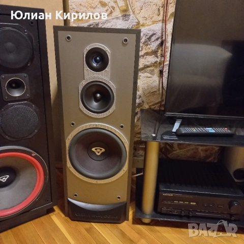 cervin vega F 10 QA, снимка 3 - Тонколони - 52325412