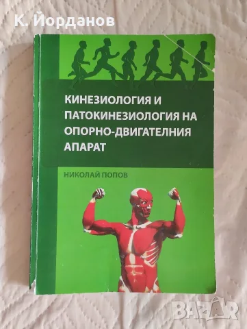 Кинезиология и патокинезиология