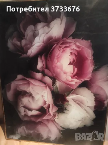 Картина- рози, импресия, снимка 3 - Картини - 49027655