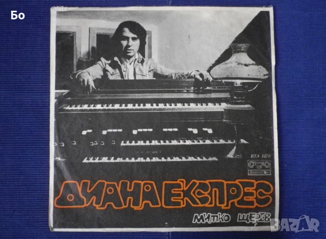 грамофонни плочи Диана Експрес / Diana Express, снимка 2 - Грамофонни плочи - 31509458