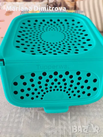 Кутия за чесан и лук Tupperware, снимка 4 - Кутии за съхранение - 55884026
