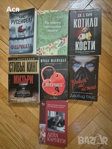 Мизъри, Затворникът, Котило от кости 