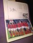 Евро 1988 г футболна програма-цветни фотоси на участниците, снимка 6