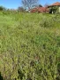 Продавам парцел в село Стамболийски, област Хасково, снимка 5