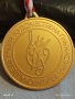 Спортен медал БФ ХУДОЖЕСТВЕНА ГИМНАСТИКА първо място рядък за КОЛЕКЦИЯ 52232, снимка 2