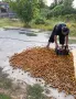 млечни български ядки сушени на слънце гарантирам за качество и вкус , снимка 5