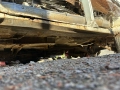 Волга M22 С ДОКУМЕНТИ , снимка 8