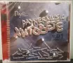 2 Х CD Payner music хитовете, снимка 1