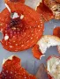 Сушени червени мухоморки , снимка 1