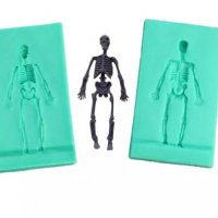 3D човешки скелет 2 части силиконов молд форма фондан гипс смола , снимка 1 - Форми - 31255644