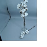 клон клонка клонки клони Натурален памук за аранжиране украса декор изкуствени цветя, снимка 7 - Изкуствени цветя - 28182285