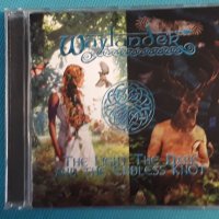 Waylander – 2004 - The Light The Dark And The Endless Knot(Heavy Metal), снимка 1 - CD дискове - 42766759