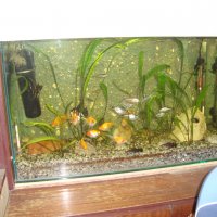 Аксесоари за аквариум, снимка 1 - Аквариуми - 29685364