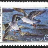 Чисти марки Фауна Птици Патици 1990 от СССР, снимка 1 - Филателия - 39871852