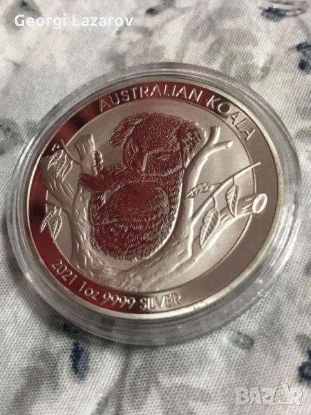 коала от Австралия 21, снимка 1